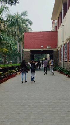 several people walking down a brick walkway in front of a building with palm trees and potted plants