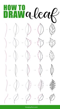 how to draw leaves with the text