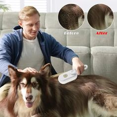 a man is brushing his dog's hair with a brush and combing it