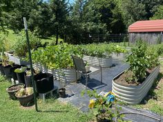 an outdoor garden with many plants growing in the ground and several chairs on the lawn