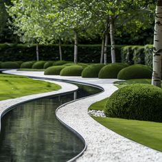 a river running through a lush green park