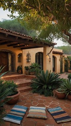 an outdoor area with potted plants and rugs on the ground in front of a house