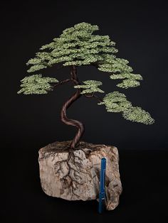 a bonsai tree on top of a rock with scissors in the foreground and black background