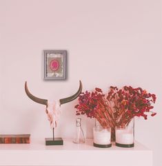 two vases filled with flowers on top of a white shelf next to a cow's skull