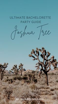 The Ultimate Joshua Tree Bachelorette Party Guide Ultimate Bachelorette Party, Beautiful Hikes, California Travel Road Trips, Brunch Spots, Bachelorette Weekend, California Travel, Magical Places