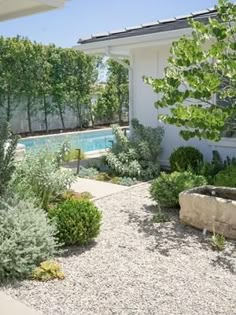 an outdoor garden with gravel, rocks and plants next to a swimming pool in the background