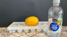 a bottle of water and an orange sitting on a counter top next to ice trays