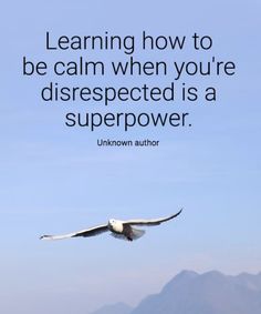 a bird flying in the sky with a quote about learning how to be calm when you're disrespected is a super power