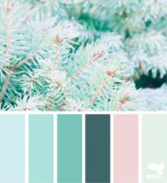 the color scheme is blue, green and pink with some white branches in the background