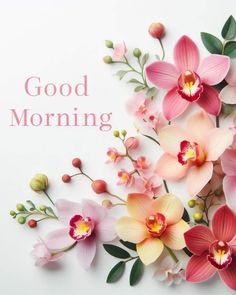 pink and white flowers with the words good morning on it's side, against a white background