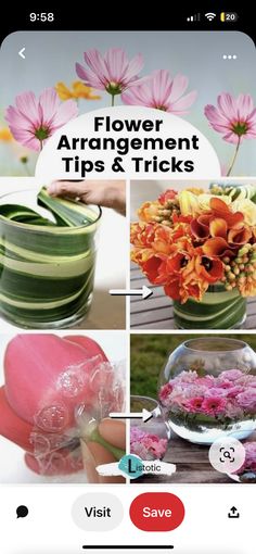 flower arrangement tips and tricks on the app