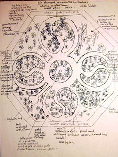 a diagram of the four main areas of an animal's body and its surroundings