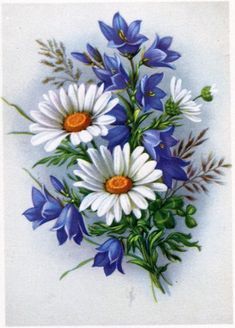 blue and white flowers with green stems on a white background