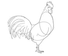 a drawing of a rooster standing on one leg with its head turned to the side