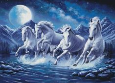 four white horses running in the water at night