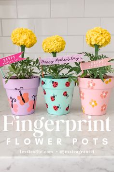 three flower pots with flowers in them and the words fingerprint flower pots on top