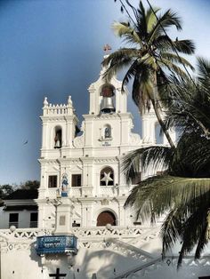 a white church with palm trees in the foreground