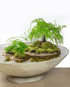 a bowl with plants in it sitting on a table