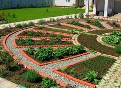 a garden with many different plants in it