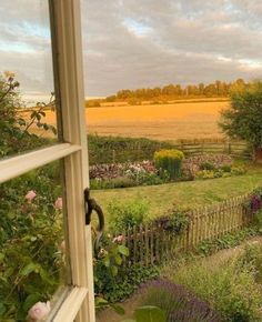 an open window looking out onto a garden and fields outside the window, with pink flowers on the windowsill