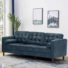 a blue couch sitting in front of a window next to a rug and potted plant