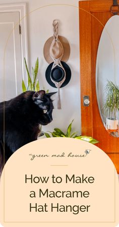 a black cat sitting on top of a table next to a mirror and potted plant