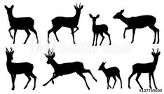 deer silhouettes on white background