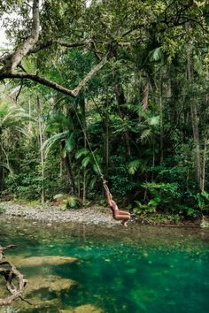 girl on rope swing swinging into bright aqua Emmagen Creek rainforest swimming hole in the Daintree Rainforest, Australia Daintree Rainforest, Jungle Vibes, Beautiful Hikes, Swimming Holes, Great Barrier Reef, Cairns, Crystal Clear Water, Fun Family, Swimmers