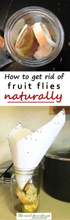 how to get rid of fruit flies naturally in a glass jar with paper napkins