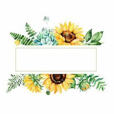 watercolor sunflowers and succulents with green leaves on white background