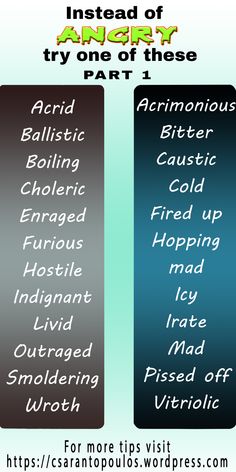 two different types of words that are in the same language, one for each word