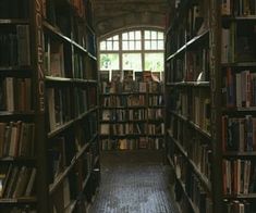 an empty library filled with lots of books