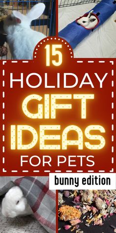 the words holiday gift ideas for pets are overlaid with images of rabbits and hamsters