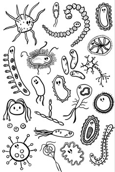 an image of different types of animals and plants in black and white ink on paper