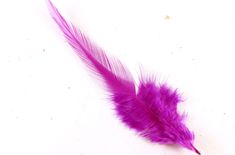 Plum Rooster Hackle Feathers for Making Hair Fascinators Narrow Wine