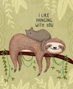 two sloths sleeping on a tree branch with the caption i like hanging with you