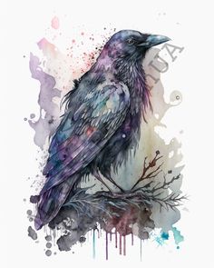 a watercolor painting of a black bird on a branch with paint splatters