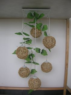 four glass vases with green leaves hanging from the ceiling in front of a white wall