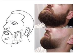 Beard Cut Style, Faded Haircut, Faded Beard Styles, Haircut Guide, Hair Cut Guide