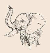 an elephant is shown in this black and white drawing, it looks like he's holding his trunk up