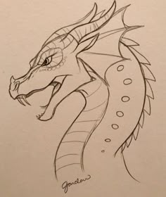 a drawing of a dragon with its head turned to look like it's coming out of