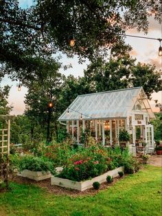 a garden with lots of flowers and plants growing inside of it next to a building