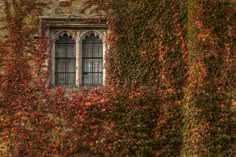 an old building with ivy growing on it's side and a window in the middle