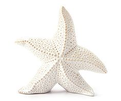 a white ceramic starfish on a white background with clipping for text or image