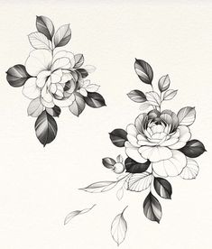 black and white flowers with leaves on the left side of the image, in front of a