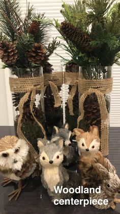 woodland centerpieces made from pine cones and burlocks are displayed in glass vases