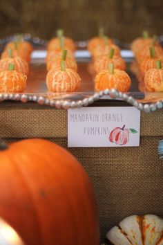 there are many small oranges on display in this case, and one has a sign that says mandarin orange pumpkins