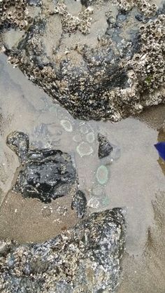 the rocks are covered in sand and water