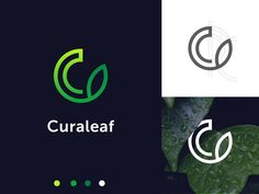 the logo for curaleaf is shown in three different colors and font options