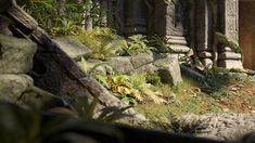 an image of a jungle setting in the middle of the day with rocks and plants